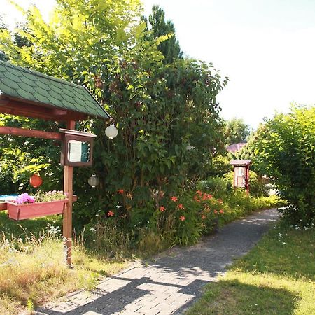New Nomads Ferienwohnung Am See زوسين المظهر الخارجي الصورة